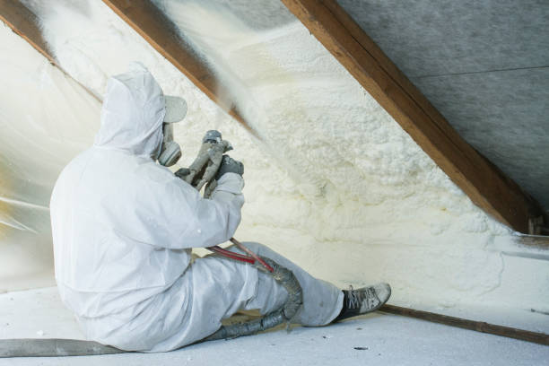 Best Radiant Barrier Insulation  in Valley City, ND